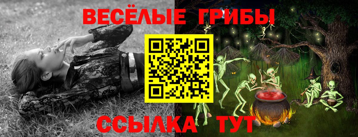 Псилоцибиновые грибы GOLDEN TEACHER  Галлюциногенные грибы Psilocybine cubensis  Комсомольск-на-Амуре  Вход с VPN 