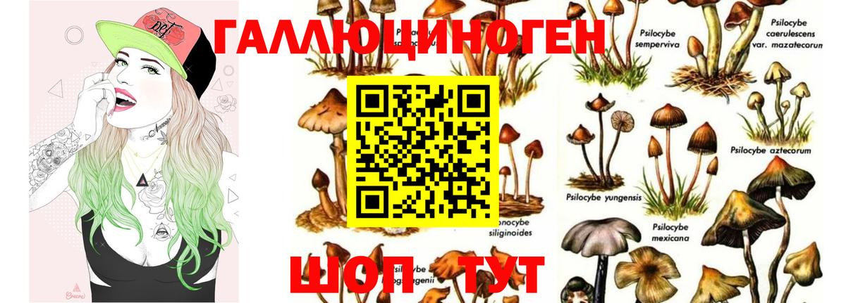 Псилоцибиновые грибы MAGIC MUSHROOMS Комсомольск-на-Амуре